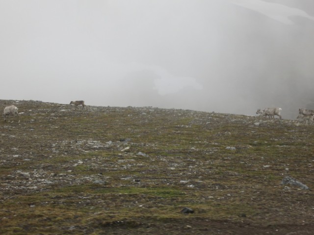 Hurtigruten_2015-06-22_14-05